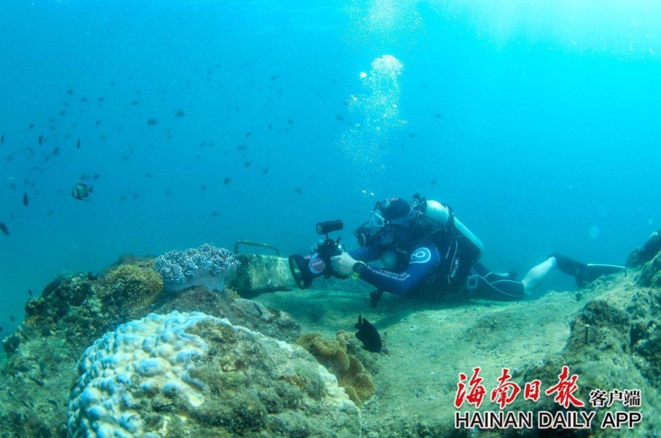 披萨找不同